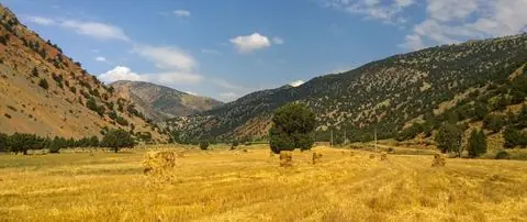 Parc national de Golestan